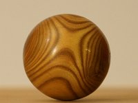2884 &nbsp;  &nbsp;   Essigbaum.  &nbsp;   &nbsp;     &empty;  ca 4 cm    &nbsp;    Verkauft &nbsp;