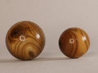 4580 &nbsp;   Essigbaum.  &nbsp;   &nbsp;     &empty;  4 und 6  cm    &nbsp;