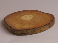 2234 &nbsp; Birkenuntersetzer.   &nbsp; &nbsp;  &nbsp;  D = 15  cm